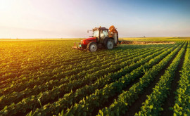 Одобрены новые срочные сельскохозяйственные кредиты для аграриев