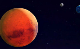  NASA опубликовало фотографию Человеческий облик на Марсе