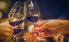Молдавские вина впервые представлены на престижном конкурсе в Мадриде