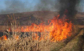 Mai multe persoane care au ars vegetația uscată au fost amendate