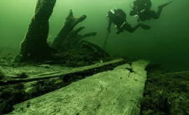Artefacte unice descoperite pe o corabie naufragiată 