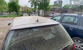 Специалисты Капли дождя с пылью не представляют существенной опасности для здоровья 