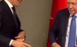Эрдоган отказался пожимать руку премьеру Нидерландов 