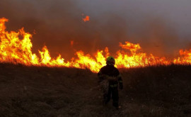 Утренний пожар на Данченах
