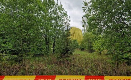 В Литве воздушный шар упал на дома