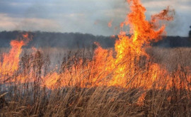 Сотни гектаров сухой растительности повреждены огнем