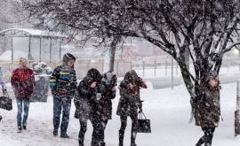 В Польше сильные морозы не пережили десять человек