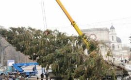 Pomul de Crăciun în curînd va fi evacuat din centrul Chişinăului