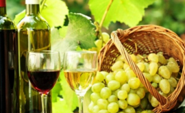 Молдова наращивает экспорт вина в ЕС
