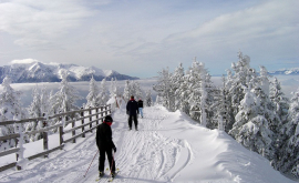 Молдавских туристов забыли на лыжне в 24градусный мороз ФОТО