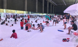 В Австралии создали пляж с морем из миллиона шариков ВИДЕО
