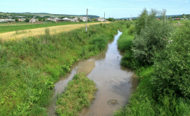 Некачественный ремонт канализации в Чимишлии приводит к загрязнению реки