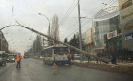Фото В столице электрический столб упал на троллейбус