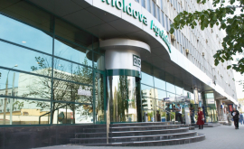 Рыночная цена акции MoldovaAgroindbank выросла на 50 леев
