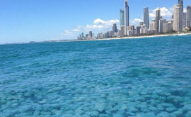 Fenomen bizar pe coastele Australiei FOTO