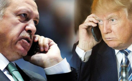 Erdogan și Trump au căzut de acord să acționeze împreună împotriva SI 