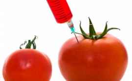 Roșiile modificate genetic pot deveni din nou gustoase Avem oare nevoie de acest lucru 