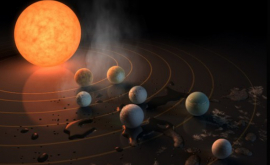НАСА обнаружило семь похожих на Землю планет ФОТО