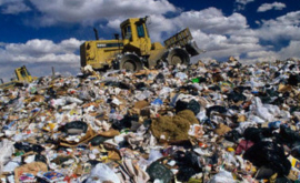 Приём мусора в Цынцаренах предложили возобновить ВИДЕО