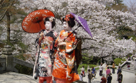 Неделя японской культуры в Кишиневе