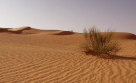 Descoperirea cauzei transformării regiunii Sahara în deșert