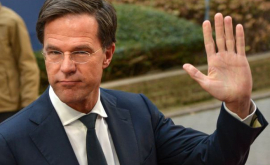 Выборы в Нидерландах партия премьера Рютте победила националистов