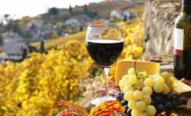 Vinurile Moldovei vor fi prezentate în Germania şi China