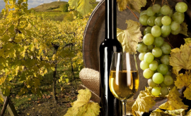 Производители Молдовы успешно представили вина в Китае и Германии