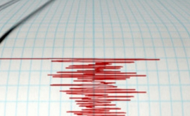 În Rusia a avut loc un cutremur A fost emisă alertă de tsunami