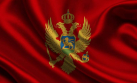 Молдова и Черногория расширят торговлю
