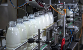 Moldova printre principalele pieţe de desfacere a lactatelor ucrainene