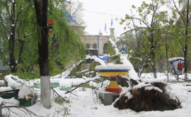 Названа сумма ущерба причиненного столице снежной стихией