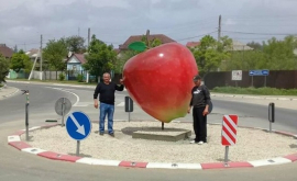 Un măr gigant moldovenesc a apărut în satul Mereni