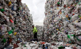 В Каларашском районе переработку пластика доверят частникам
