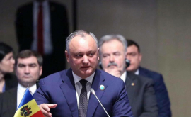 Додон Молдова расширит торговлю со странами ОЧЭС