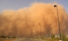 Огромный песчаный шторм в Судане ВИДЕО
