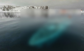 Ce au găsit exploratorii sub apa îngheţată din Antarctica
