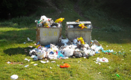 Площадки для сбора мусора в столице будут дезинфицированы