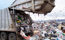 Какие меры принимают власти для решения проблемы вывоза мусора из Кишинева
