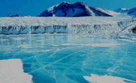 În Arctica va apărea un staţionar ştiinţific anual