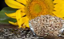 10 beneficii incredibile ale semințelor de floareasoarelui 