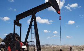 Цена нефти Brent поднялась выше 49 долларов за баррель