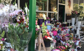 Serviciul Fiscal va aplica amenzi ASPRE comercianților de flori