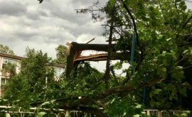 Кишинёвский ураган посносил крыши и повалил деревья ФОТОВИДЕО