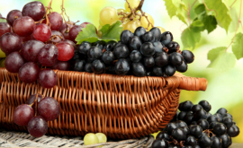 В Яловенском районе начали сбор столового винограда