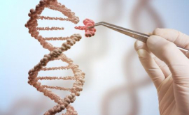 Как долго мы будем жить Ответ в 16 генетических маркерах
