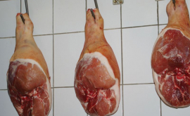 Россия запретила ввоз свиней из Румынии