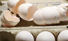 Ouă contaminate Încă un stat din Uniunea Europeană afectat