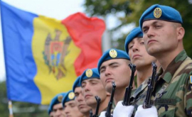 Петтит опроверг сообщения что США прекратили финансирование молдавской армии