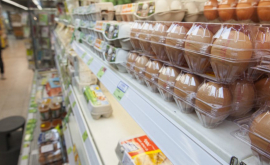 Criza ouălor contaminate continuă în Europa 